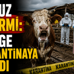 Kuduz alarmı: Bölge karantinaya alındı