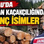 Bolu'da, orman kaçakçılığında ilginç isimler