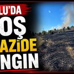 Bolu'da boş arazide yangın