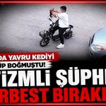 Bolu'da yavru kediyi önce öpüp sonra boğan otizmli çocuk serbest bırakıldı