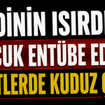 Kedinin ısırdığı çocuk entübe edildi, testlerde kuduz çıktı