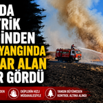 Bolu'da elektrik direğinden çıkan yangında 8 dekar alan zarar gördü