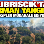 Kıbrıscık’ta Orman Yangını: Ekipler Müdahale Ediyor