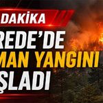 Gerede'de orman yangını başladı