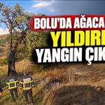 Bolu’da ağaca düşen yıldırım yangın çıkardı