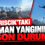 Kıbrıscık'taki orman yangınında son durum