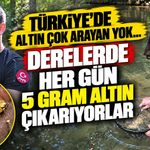 Türkiye'de altın çok arayan yok...Derelerde her gün 5 gram altın çıkarıyorlar