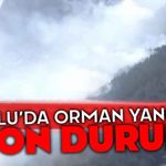 Bolu'da orman yangını son durum