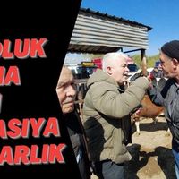 Genel