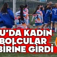 Spor