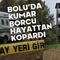 Genel