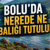 Genel