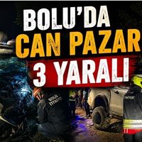 Genel