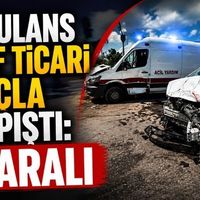 Genel