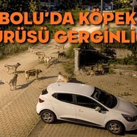 Genel