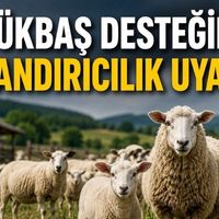 Genel