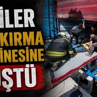 Genel