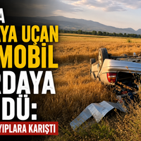 Diğer