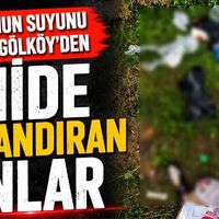 Genel