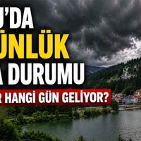 Genel