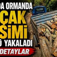 Genel