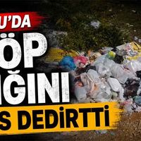 Genel