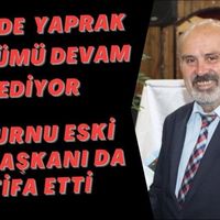 Genel