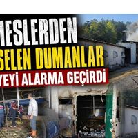 Genel