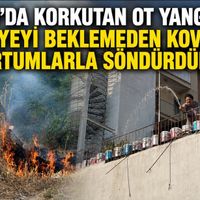 Genel