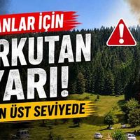 Genel