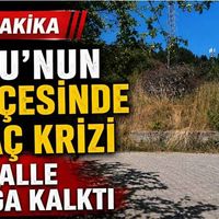 Genel