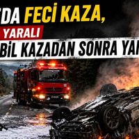 Genel