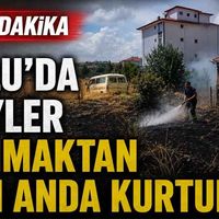 Genel