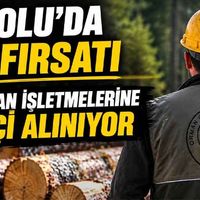 Genel