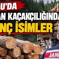 Genel