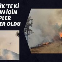 Genel