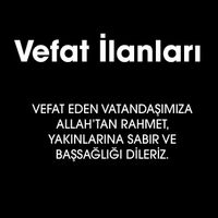 Genel