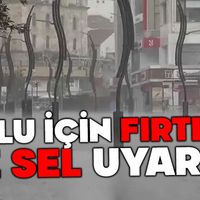 Genel