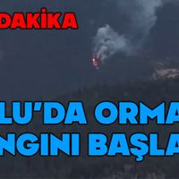 Genel