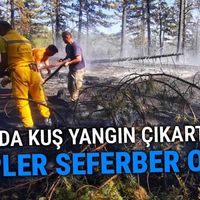 Genel