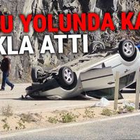 Genel