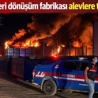 Genel