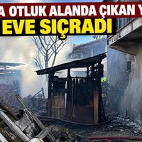Genel