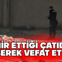 Genel
