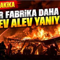 Genel