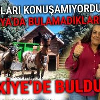 Genel