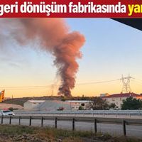 Genel