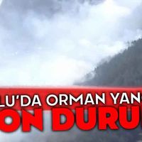 Genel