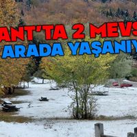 Genel