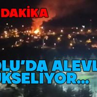 Genel